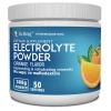 Dr. Berg's Original Electrolyte Powder, High Energy, Replenish &Rejuvenate Your Cells, 308 Grams