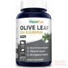 Nusapure Olive Leaf Extract 750 mg,120 Capsules مستخلص أوراق الزيتون 750 مجم ، لصحة الجهاز المناعى ولصحة القلب والأوعية الدموية ومضاد للأكسدة ، 120 كبسولة