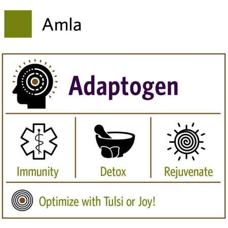 Organic India Amalaki Herbal Vitamin Supplement - Immune Support, Vitamin C, Antioxidant, 90 Capsules
