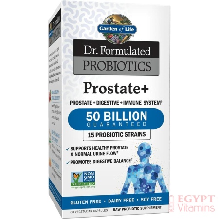 Garden of Life Dr. Formulated Probiotics Prostate+ ,60 Capsulesجاردن اوف لايف لدعم صحة البروستاتا والجهاز الهضمى ،50 مليار بروبيوتيك،60 كبسولة