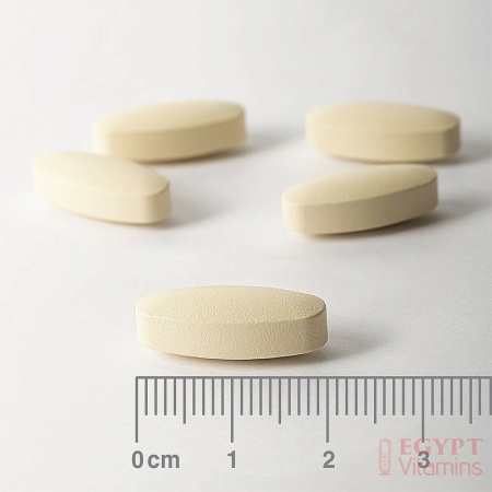 Rutin and Vitamin C 500mg, Contributes To The Normal Function Of The Immune System