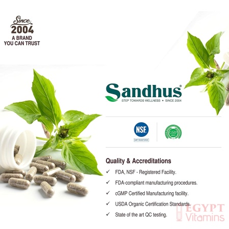 Guduchi (Tinospora Cordifolia) Giloy Immune Support 1000 mg per Serving Vegetarian 100 Capsules