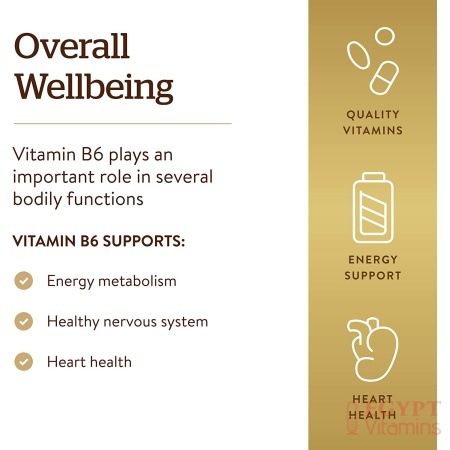 Solgar Vitamin B6 100 mg, Supports Energy Metabolism, Heart Health &Healthy Nervous System ,250 Capsules سولجر فيتامين6ب 100 مجم للكبسولة ، لصحة القلب والجهاز العصبى و زيادة إنتاج الطاقة ، 250 كبسولة نباتية