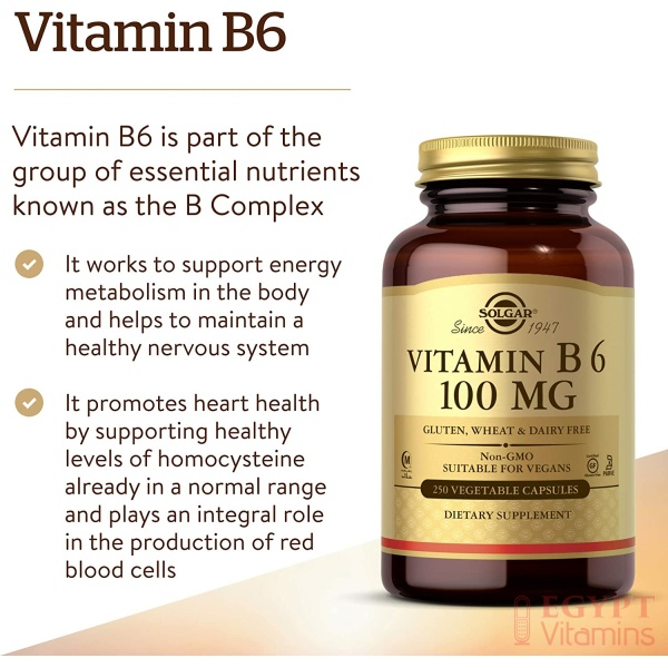 Solgar Vitamin B6 100 mg, Supports Energy Metabolism, Heart Health &Healthy Nervous System ,250 Capsules سولجر فيتامين6ب 100 مجم للكبسولة ، لصحة القلب والجهاز العصبى و زيادة إنتاج الطاقة ، 250 كبسولة نباتية