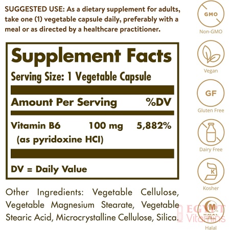Solgar Vitamin B6 100 mg, Supports Energy Metabolism, Heart Health &Healthy Nervous System ,250 Capsules سولجر فيتامين6ب 100 مجم للكبسولة ، لصحة القلب والجهاز العصبى و زيادة إنتاج الطاقة ، 250 كبسولة نباتية