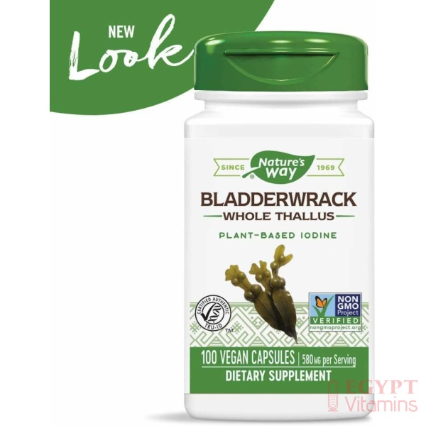 Nature's Way Premium Herbal Bladderwrack Whole Thallus 580 mg, 100 Count - Image 3