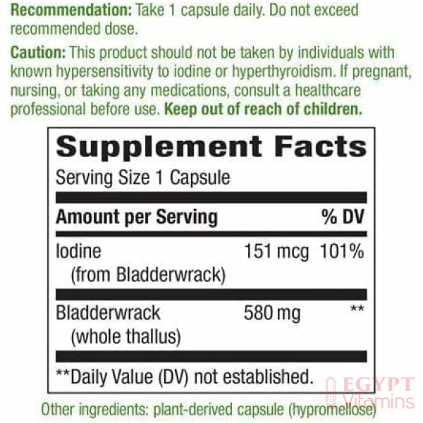Nature's Way Premium Herbal Bladderwrack Whole Thallus 580 mg, 100 Count - Image 5