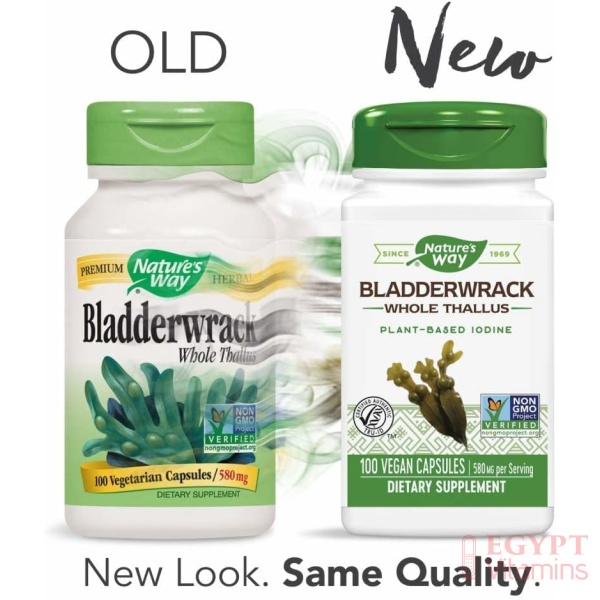 Nature's Way Premium Herbal Bladderwrack Whole Thallus 580 mg, 100 Count - Image 8