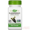 Nature's Way Premium Herbal Bladderwrack Whole Thallus 580 mg, 100 Count (Pack of 2)