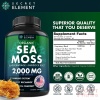 Organic Sea Moss Capsules - Burdock Root, Irish Moss and Bladderwrack Capsules - Immune System, Gut Cleanse & Thyroid Supplement - 120 Pills with All-Natural Sea Moss Powder