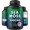 Organic Sea Moss Capsules - Burdock Root, Irish Moss and Bladderwrack Capsules - Immune System, Gut Cleanse & Thyroid Supplement - 120 Pills with All-Natural Sea Moss Powder