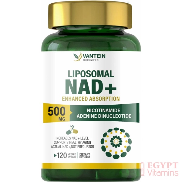 Liposomal NAD+ 500 mg Supplement, Ultra Purity High Absorption, Boost NAD+ More Efficient Than NMN, Nicotinamide Riboside Alternative for Anti-Aging & Antioxidant, Metabolism and Energy - 120 Veg Caps