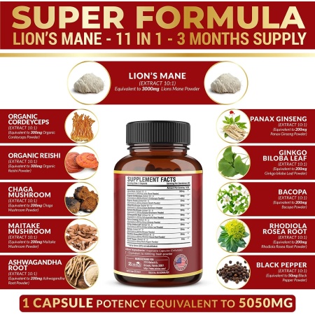 Zolotus, Lions Mane 11 in 1 , Ingredients