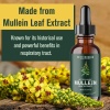 Betterbrand, Mullein Leaf Extract, 1 Month Supply