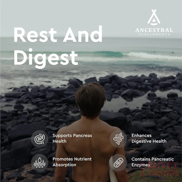 ⁦Ancestral Supplements Grass Fed Beef Pancreas Supplement, 500mg, Pancreatic Support with Proteolytic Digestive Enzymes for Digestion Support, Including Trypsin, Non GMO, 180 Capsules⁩ - الصورة ⁦4⁩