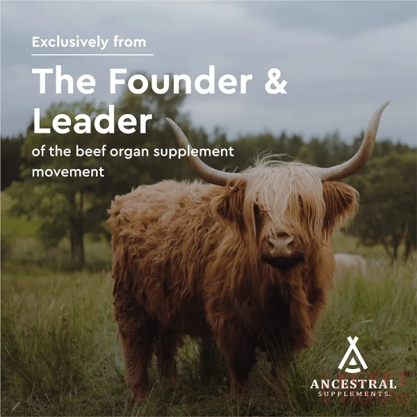 ⁦Ancestral Supplements Grass Fed Beef Pancreas Supplement, 500mg, Pancreatic Support with Proteolytic Digestive Enzymes for Digestion Support, Including Trypsin, Non GMO, 180 Capsules⁩ - الصورة ⁦5⁩