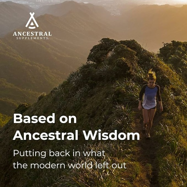 ⁦Ancestral Supplements Grass Fed Beef Organ Supplement, Supports Whole Body Wellness with Proprietary Blend of Liver, Heart, Kidney, Pancreas, Spleen, Freeze-Dried Beef, Non-GMO, 180 Capsules⁩ - الصورة ⁦6⁩