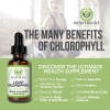 Benevolent, Liquid Chlorophyll, Benefits