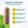 PurePremium, Kidney Support, Benefits