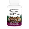 Host Defense Turkey Tail, 120 Capsules