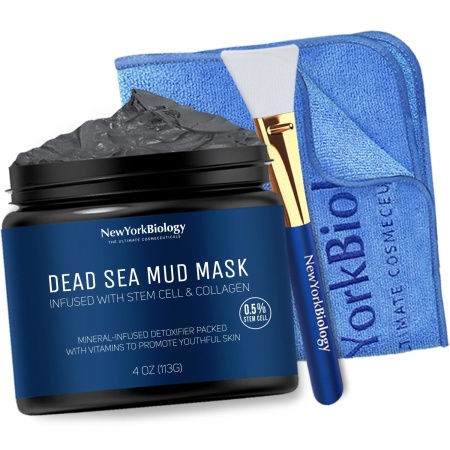 New York Biology Dead Sea Mud Mask for Face and Body, 113 gm