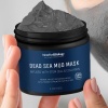 New York Biology Dead Sea Mud Mask for Face and Body, 113 gm