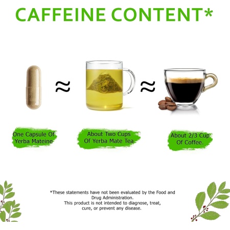 Yerba Mateine, Yerba Mate 6000 mg, caffine content