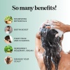 Maple Holistics, Biotin Shampoo and Conditioner, benefits