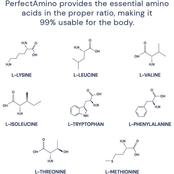 Perfect Amino by Body Health: Premium Essential Amino Acid Supplement | 150 Tablets - Image 5