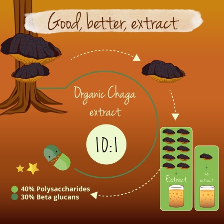 Vegavero Organic Chaga Mushroom Extract, 90 Capsules.