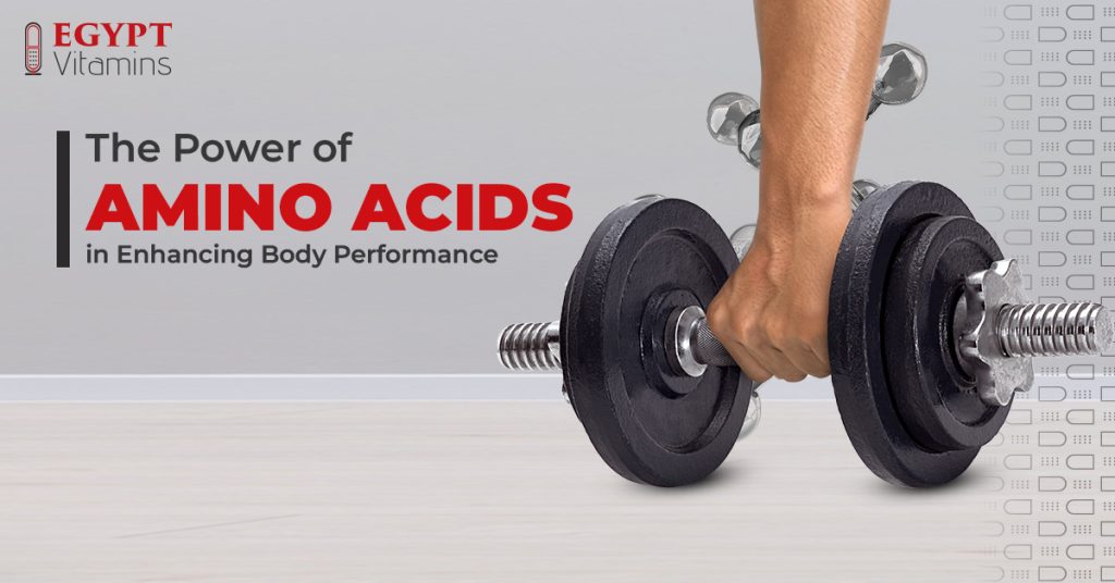 The Power of Amino Acids in Enhancing Body Performance