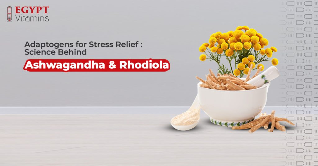 Adaptogens for Stress Relief: Science Behind Ashwagandha and Rhodiola