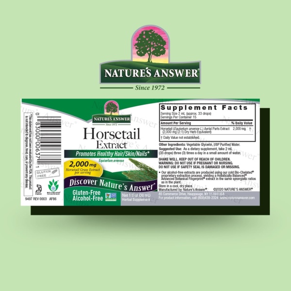 ⁦Nature's Answer Alcohol-Free Horsetail Herb Extract Supplement | 30 ml⁩ - الصورة ⁦7⁩