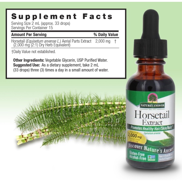 ⁦Nature's Answer Alcohol-Free Horsetail Herb Extract Supplement | 30 ml⁩ - الصورة ⁦6⁩