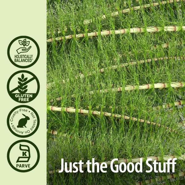 ⁦Nature's Answer Alcohol-Free Horsetail Herb Extract Supplement | 30 ml⁩ - الصورة ⁦4⁩