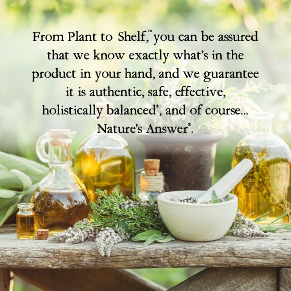 ⁦Nature's Answer Alcohol-Free Horsetail Herb Extract Supplement | 30 ml⁩ - الصورة ⁦3⁩