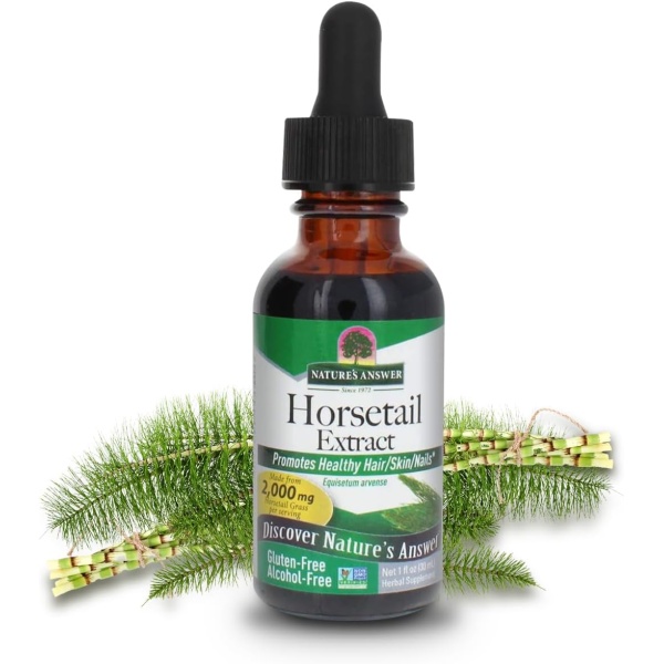 Nature's Answer Alcohol-Free Horsetail Herb Extract Supplement | 30 ml
