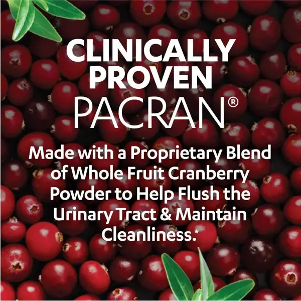 ⁦AZO Cranberry Gummies | Urinary Tract Health | 72 Gummies⁩ - الصورة ⁦3⁩