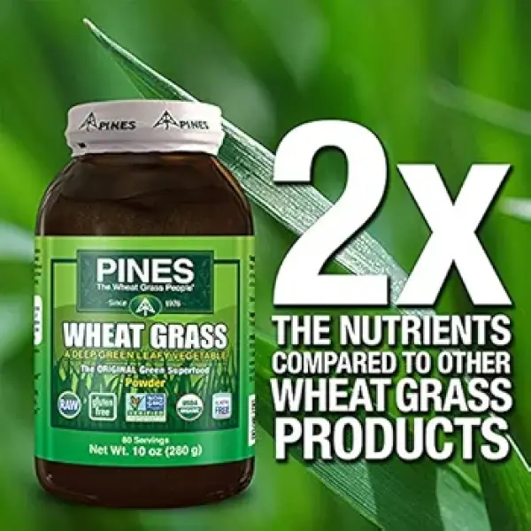 Pines Organic Wheat Grass Powder | Superfood | 280 gm - Image 4
