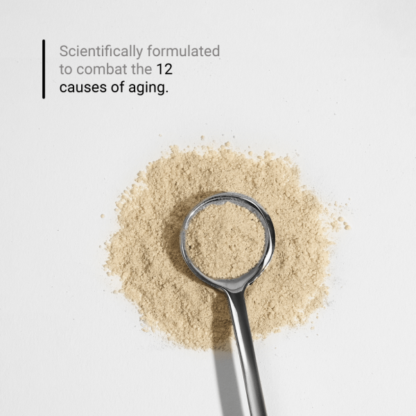⁦NOVOS Core | All-In-One Longevity Formulation 12 longevity ingredients, 1 powerful mix 6.9 grams.⁩ - الصورة ⁦6⁩