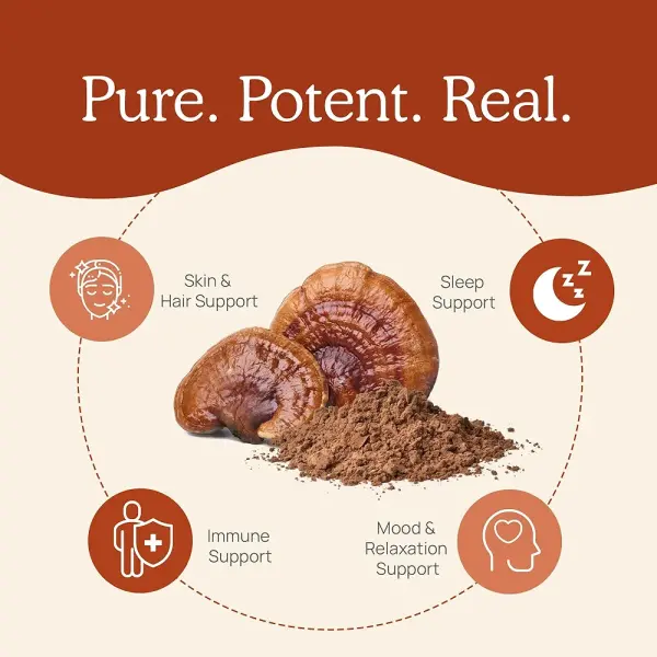 Real Mushrooms Reishi Capsules | Organic Extract, Immune & Sleep Support | 90 Capsules - Image 5