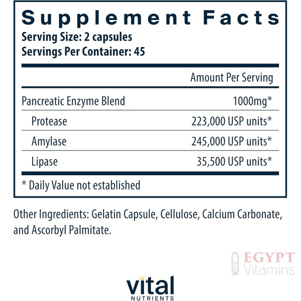 Vital Nutrients Pancreatic Enzymes 1000mg (Full Strength) | Pancreatin Digestion Supplement with Protease, Amylase & Lipase | Digestive Enzymes | Gluten, Dairy, and Soy Free | 90 Capsules - Image 2