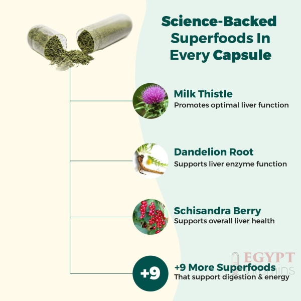 AlphaCleanse | Liver Health and Detox Blend Made with 12 Organic Superfoods. Milk Thistle, Dandelion Root, Burdock Root. Formulated for Detox Support, Liver, Digestive Health | 60 Capsules - Image 3