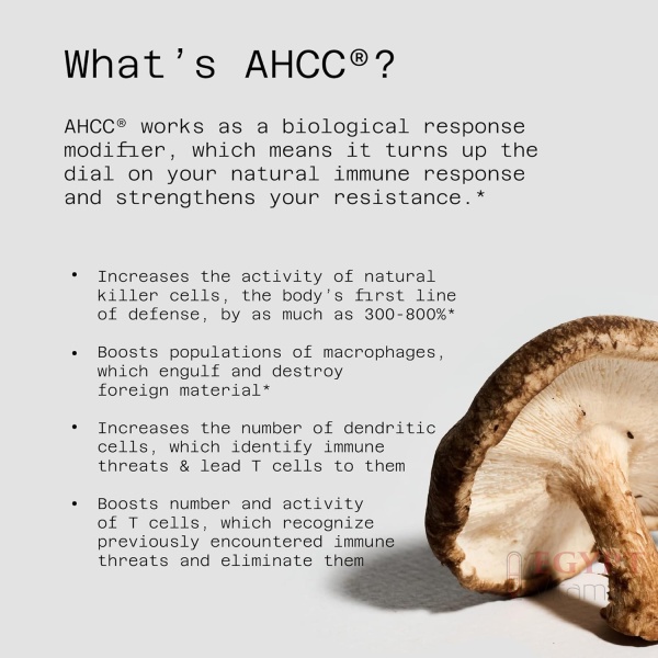 Quality of Life, Kinoko® Platinum AHCC® with Acylated Alpha-Glucans, 60 Vegicaps - Image 3