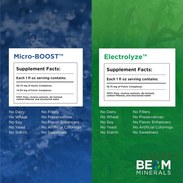 Beam Minerals Micro-Boost Humic Mineral Blend | Plant-Based Multi Minerals Supplement & Electrolytes Liquid | Micronutrients Supplements | Deficiency Support | Pure Natural Antioxidant | Keto Friendly - Image 2