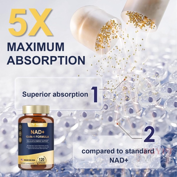 NAD Supplement for Women Men with nicotinamide riboside resveratrol,Quercetin, Betaine Boost NAD+ Levels NAD Plus Supplement for Anti Aging, Energy, Immune, Focus 120 Capsules - Image 8