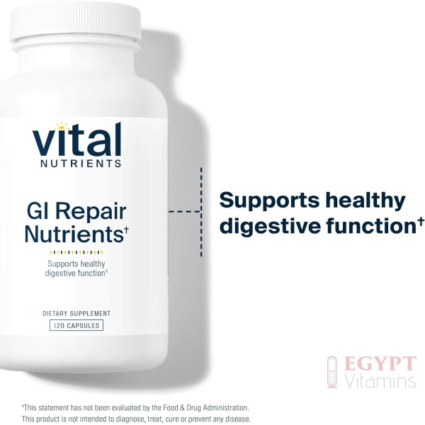 Vital Nutrients GI Repair Nutrients | Leaky Gut Capsule with L Glutamine and N-Acetyl | Digestive Enzyme Supplement to Support Gut Health and Digestion | 120 Capsules - Image 3