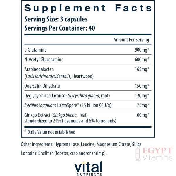 Vital Nutrients GI Repair Nutrients | Leaky Gut Capsule with L Glutamine and N-Acetyl | Digestive Enzyme Supplement to Support Gut Health and Digestion | 120 Capsules - Image 2