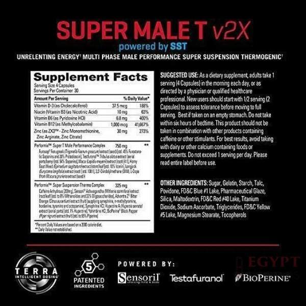 PERFORMIX SUPER MALE T V2X 120 Caps - Image 2