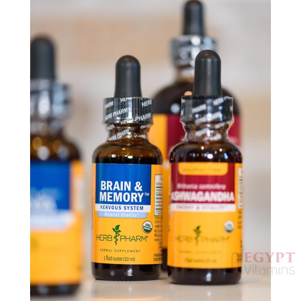 Herb Pharm Brain and Memory Liquid Herbal Formula with Ginkgo for Memory and Concentration, 4 Fl Oz - Image 9